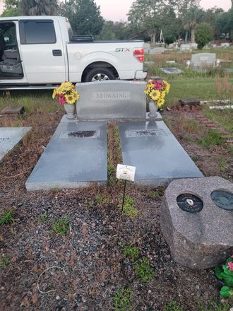 Vibrant seasonal color plantings