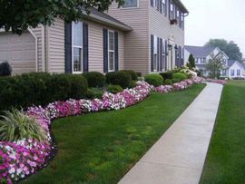 Colorful flower bed enhancement