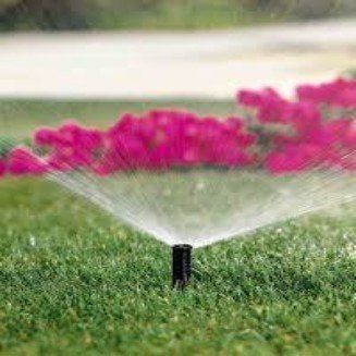 Irrigation system maintenance and repair