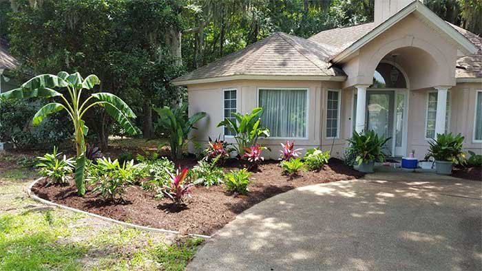 Professional landscape work in the Golden Isles