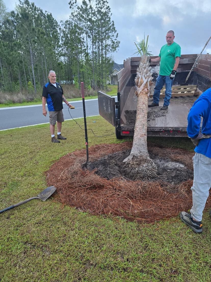 Garden bed design and installation in Brunswick, Georgia