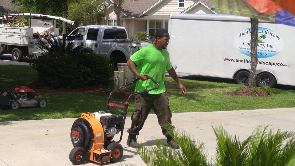 Residential lawn maintenance in St. Simons Island area