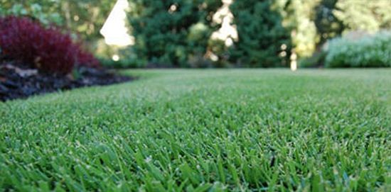 Beautifully landscaped property by Another Landscape Company